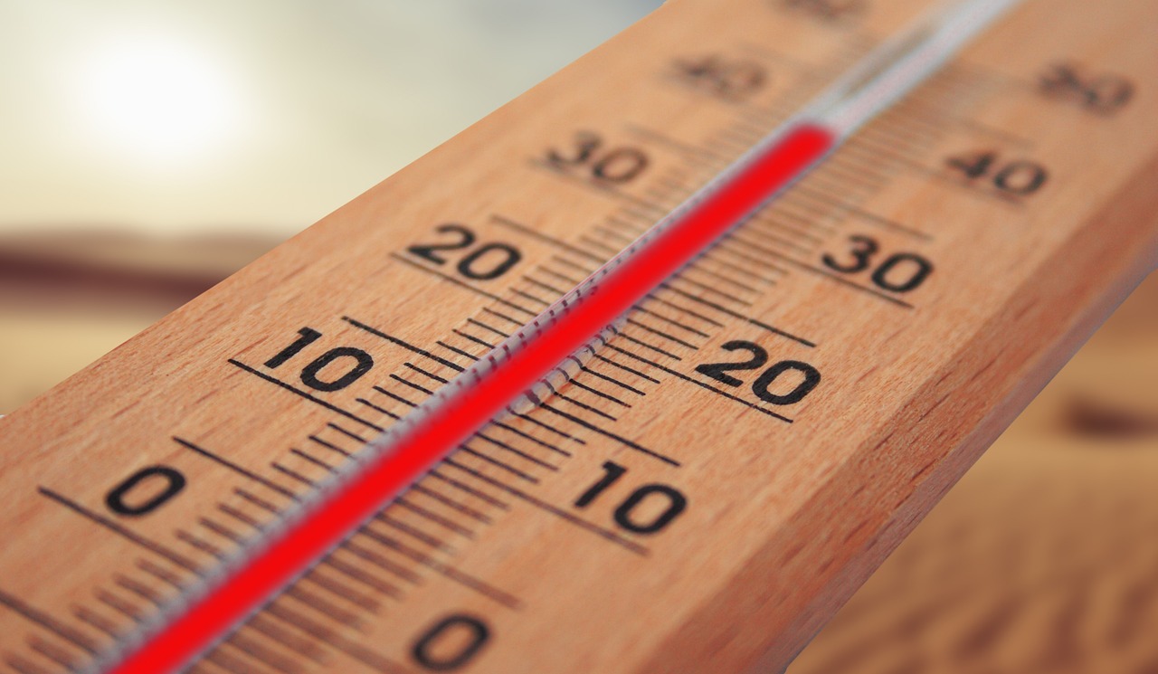 Tipps: Wohnung kühlen ohne Klimaanlage